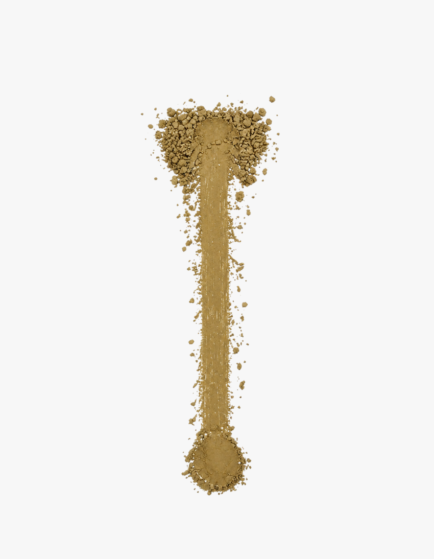 Premium Japanese Hojicha Powder from Shizuoka 1kg (2.2lbs)